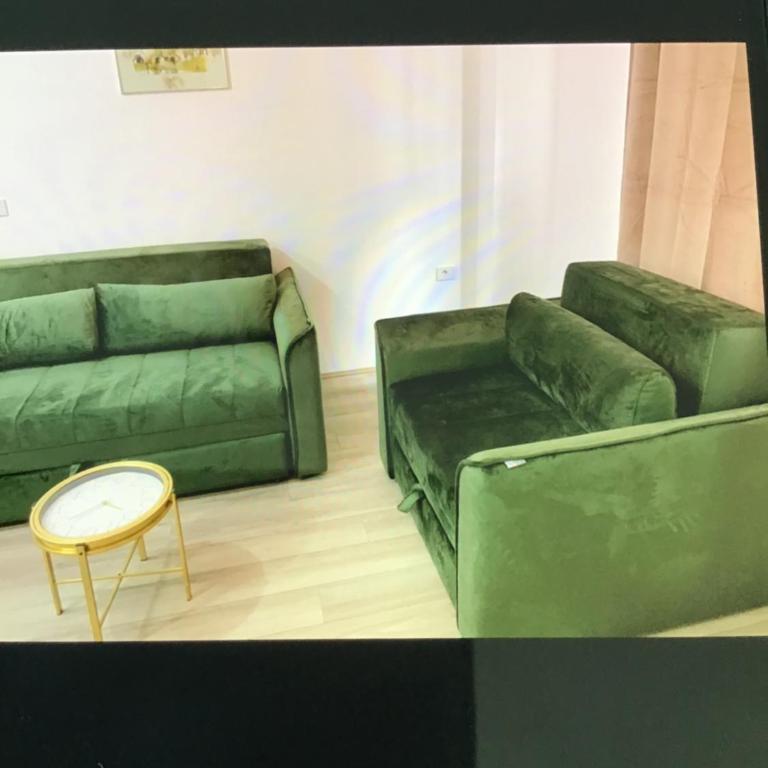 De Lux Nedeljkovic - Apartman sa 1 Spavaćom Sobom - 18