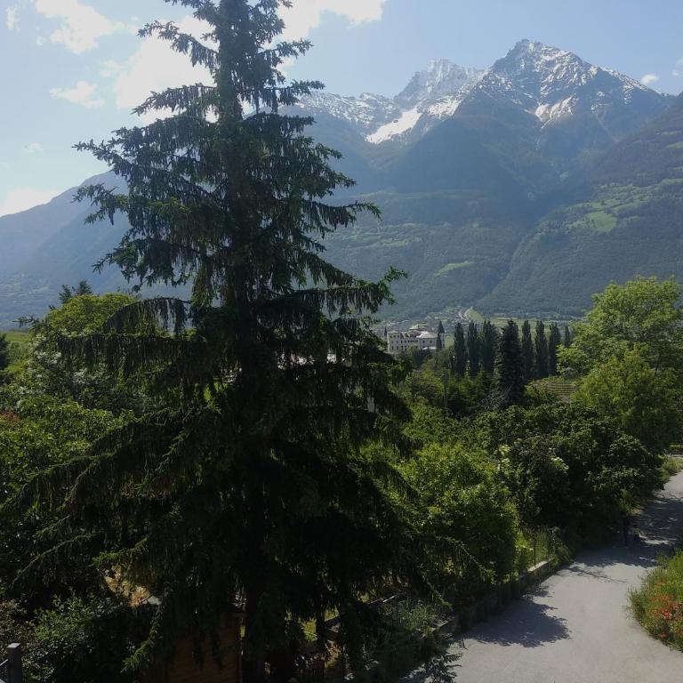 La Pace della Montagna alle Porte della Città - Appartamento con 1 Camera da Letto - 9