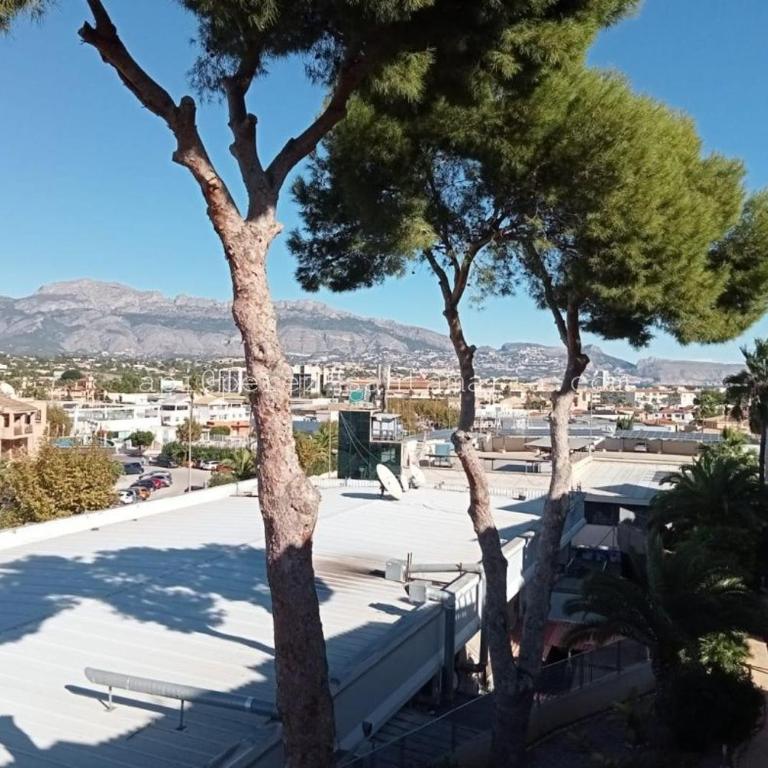 Piso Ardilla - One-Bedroom Apartment - 11