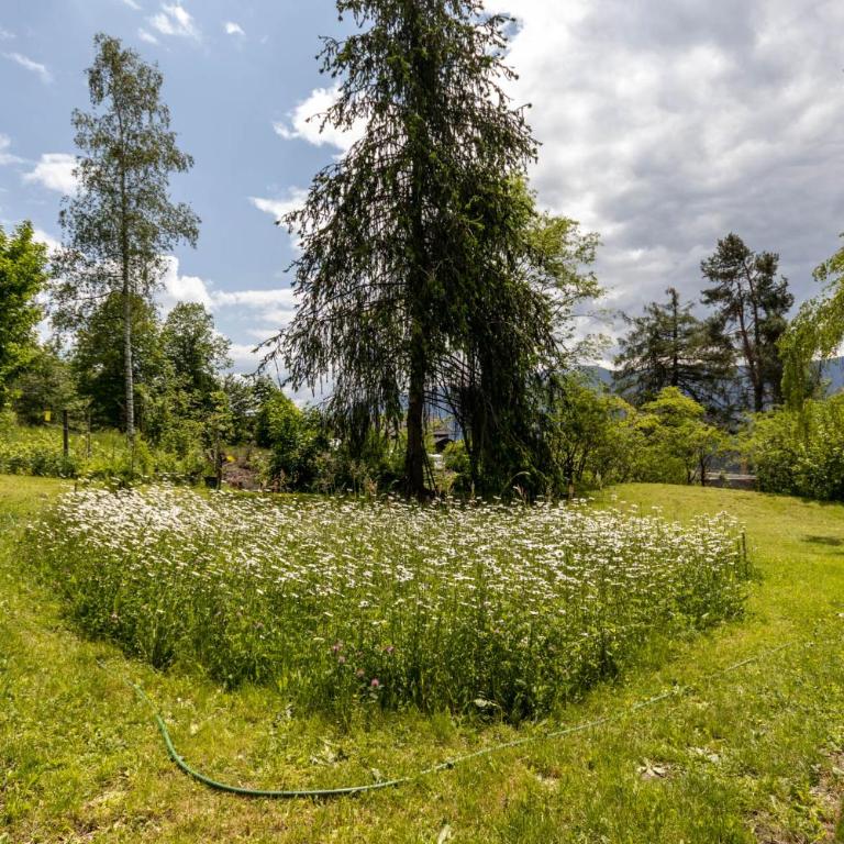 Chalet Luis - Chalet - 61