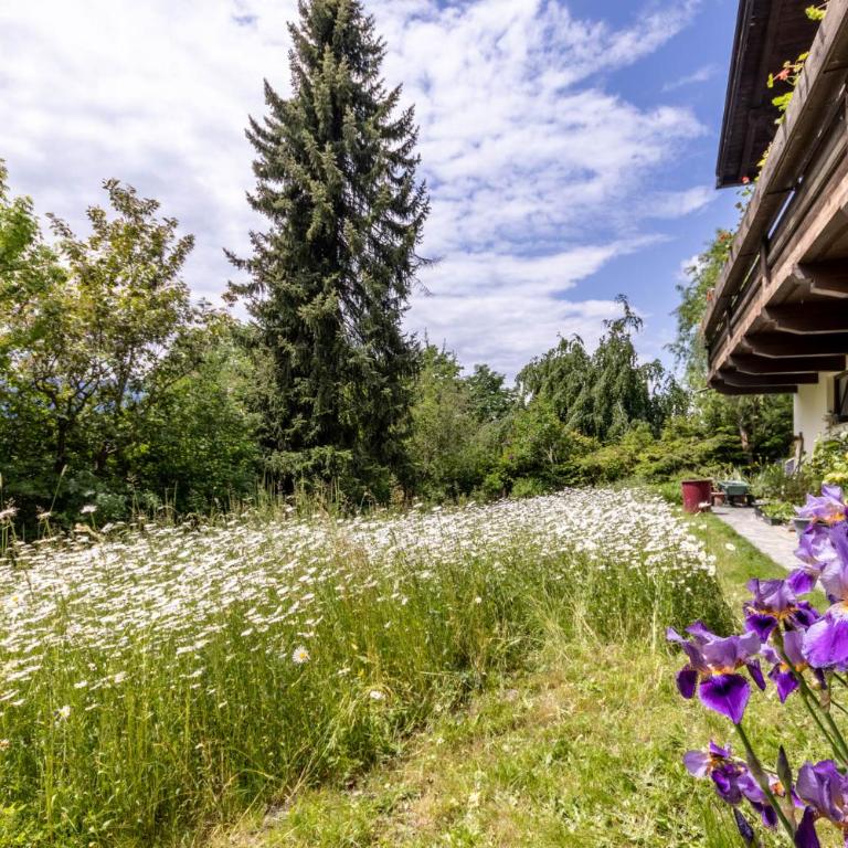 Chalet Luis - Chalet - 65