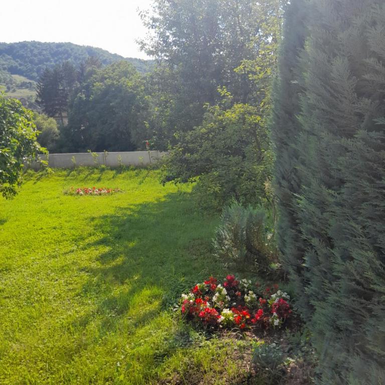 Villa "Bosnia" - Vila - 23