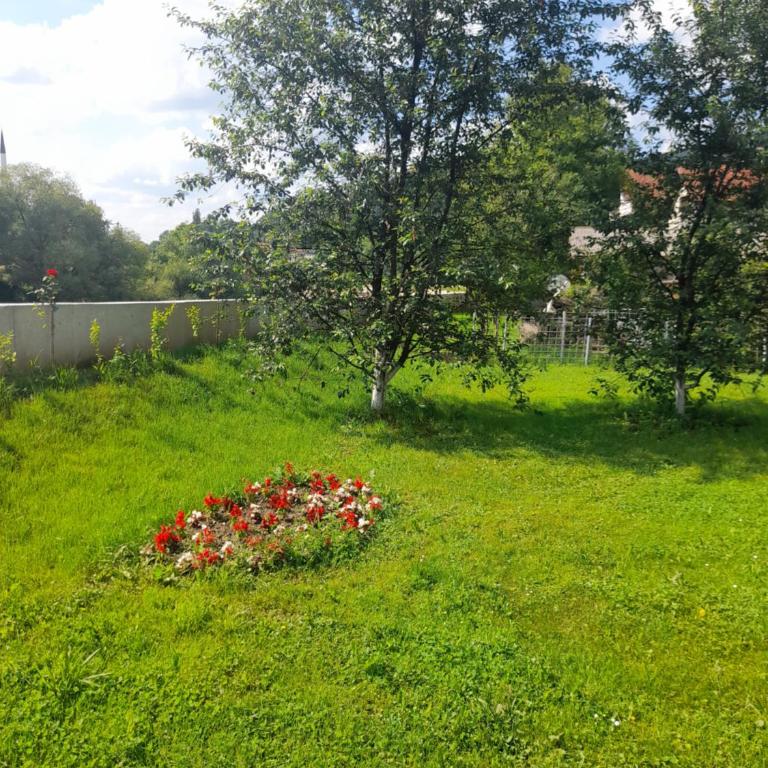 Villa "Bosnia" - Vila - 21