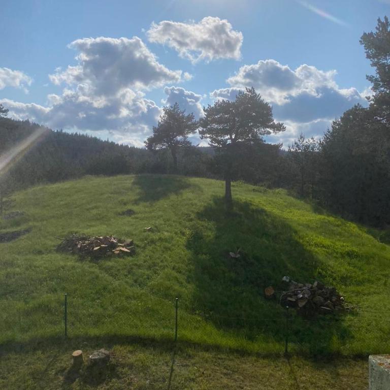 Kuca Dacica - Three-Bedroom House - 39