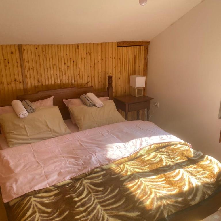 Kuca Dacica - Three-Bedroom House - 19