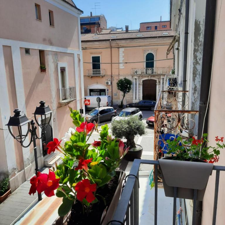 Casa vacanze "In centro" Termoli - Appartamento con 1 Camera da Letto - 32