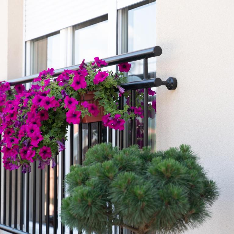 JEDRO - Apartman sa garažnim parkingom - One-Bedroom Apartment - 3