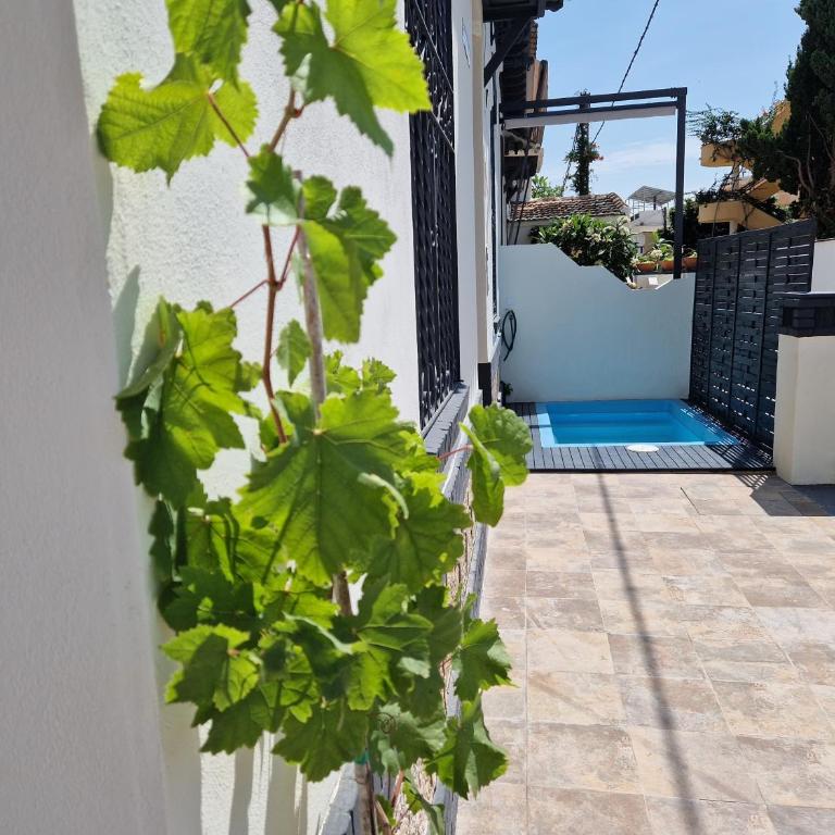 Del Parque Flats Balneario de Pina - Villa con piscina privada - 43