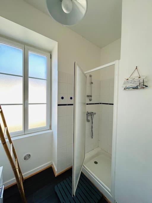 La villa Marguerite, face mer avec terrasses - Maison 3 Chambres - 35
