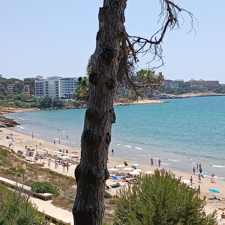 Beach & Flowers Free Parking - Apartamento con vistas al mar - 8