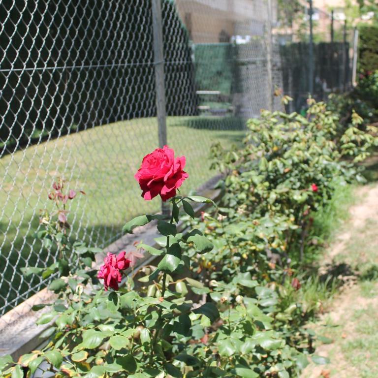 Beach & Flowers Free Parking - Apartamento con vistas al mar - 15