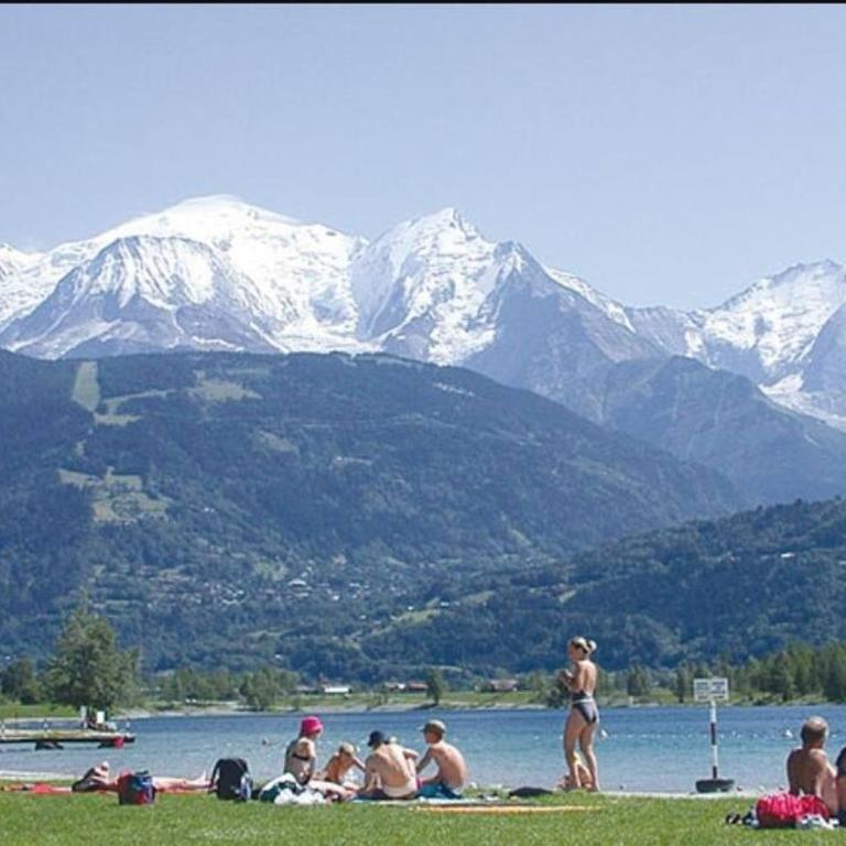 Super appartement Cocooning vu Mont Blanc - Appartement 1 Chambre - 23