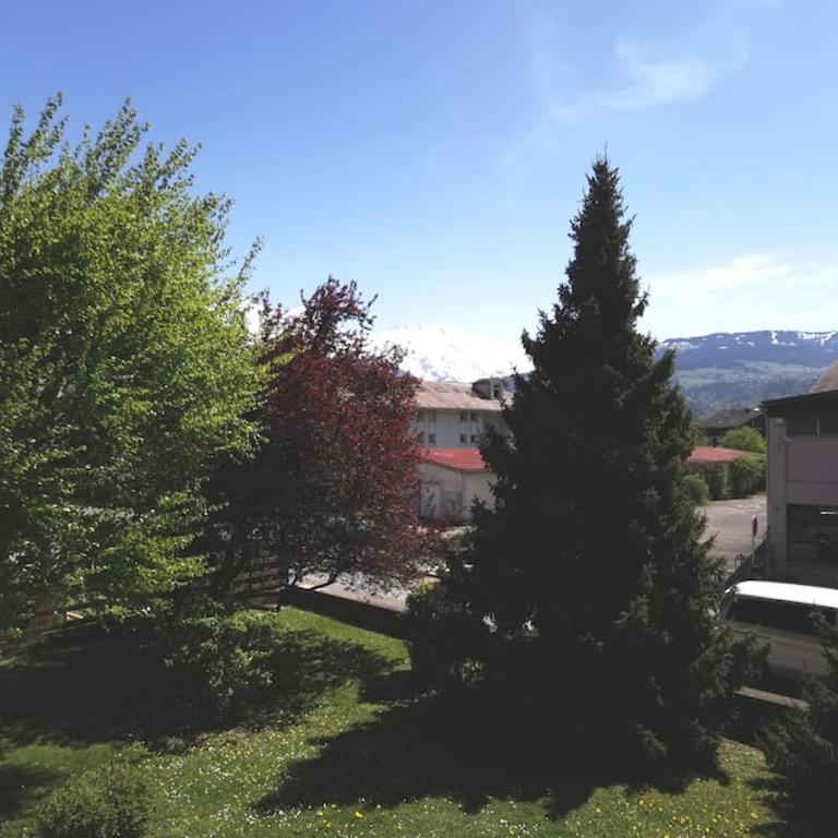 Super appartement Cocooning vu Mont Blanc - Appartement 1 Chambre - 34