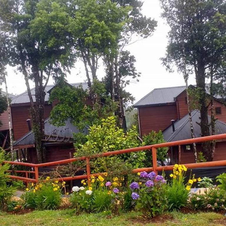 Cabañas Kalfvgen - Bungalow (4 adultos) - 2