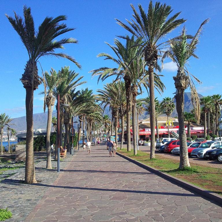 Exclusive Penthouse Playa Las Vistas 4 close to the sea and beach, aircondition for a fee, wifi, terrace, heated pool - Apartamento con vistas al mar - 58