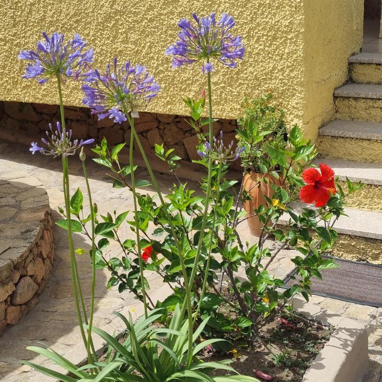 B&B Da Laura San Teodoro - Camera Matrimoniale con Bagno Privato - 8
