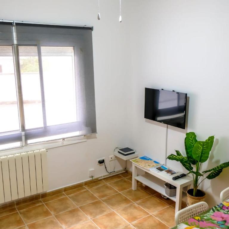 Apartamento Céntrico - Apartamento de 3 dormitorios - 5