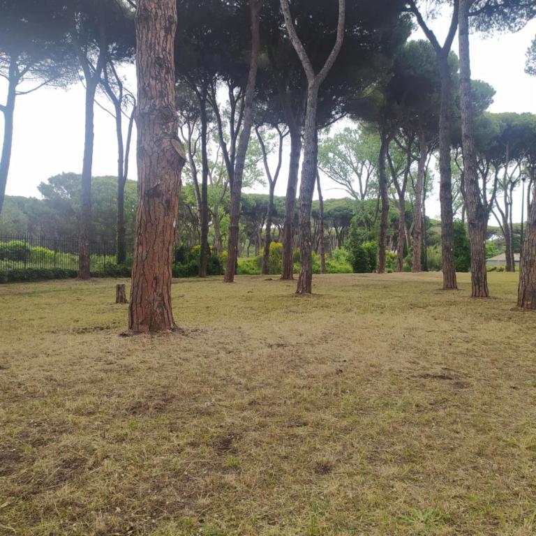 Attico con terrazza in Via dei Traghetti - Appartamento con 2 Camere da Letto - 28
