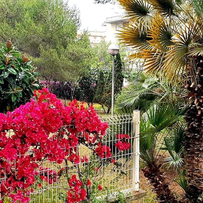 GOLDEN PINEDA Family Complex with PARKING - Apartamento de 2 dormitorios - 15