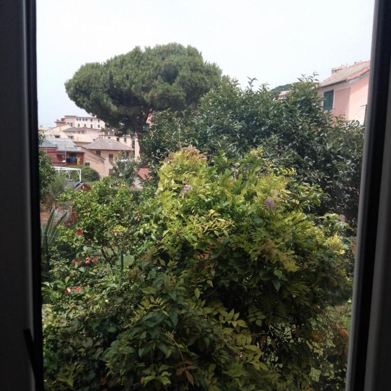 Da qui, il mare - Appartamento con Vista Giardino - 13