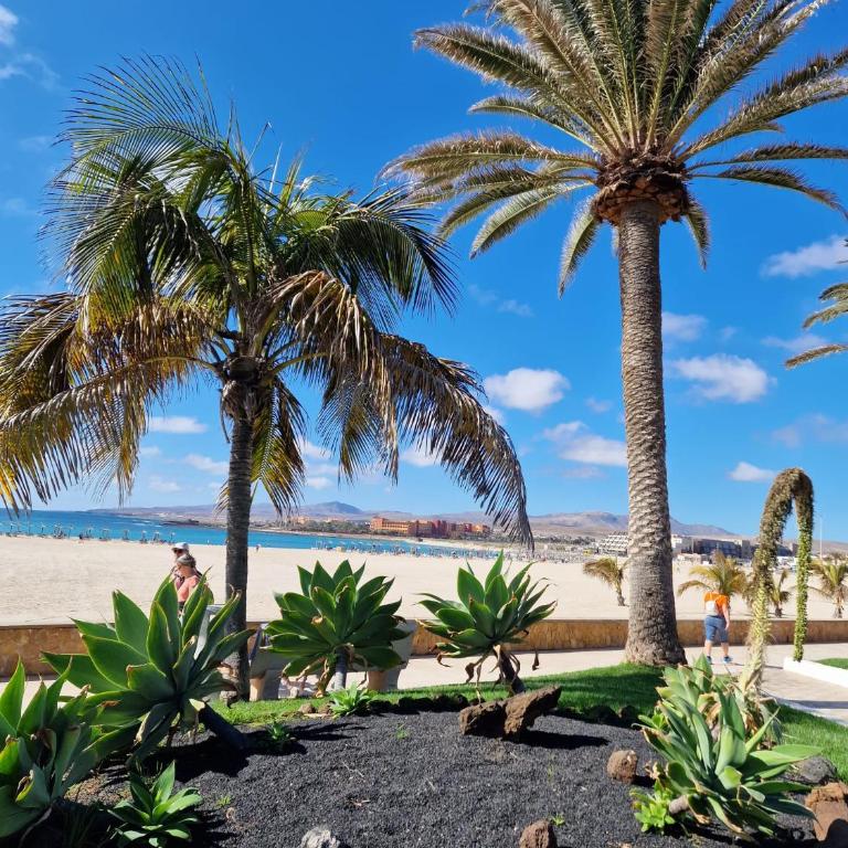 Apartament CALETA - Two-Bedroom Apartment - 8