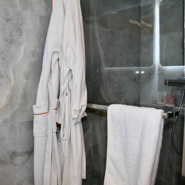 Superbe appartement climatisé avec terrasse et jardin à Villeneuve Loubet Plage - FR-1-252A-106 - Appartement - 9