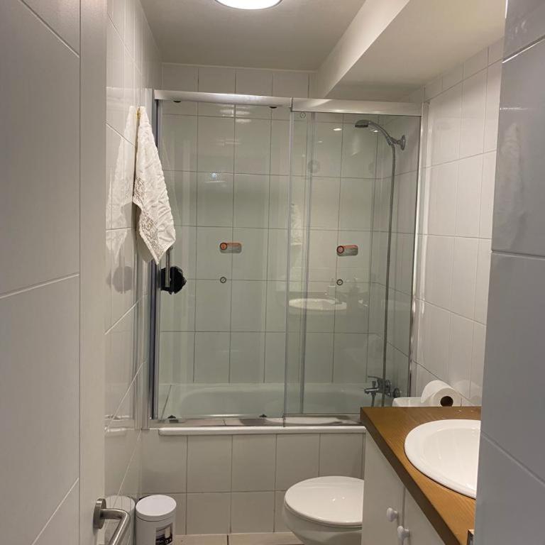 Parque suizo, Pucon - Apartamento de 1 dormitorio - 10