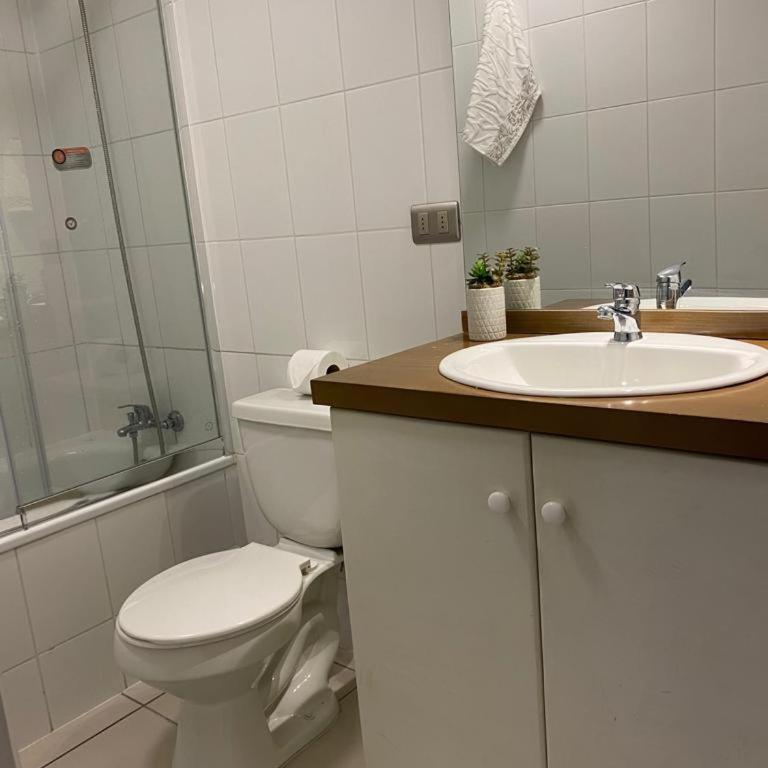 Parque suizo, Pucon - Apartamento de 1 dormitorio - 11