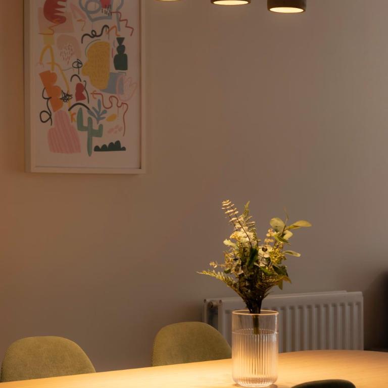 Spacious and lovely in the City Center of Bilbao - Two-Bedroom Apartment - 14