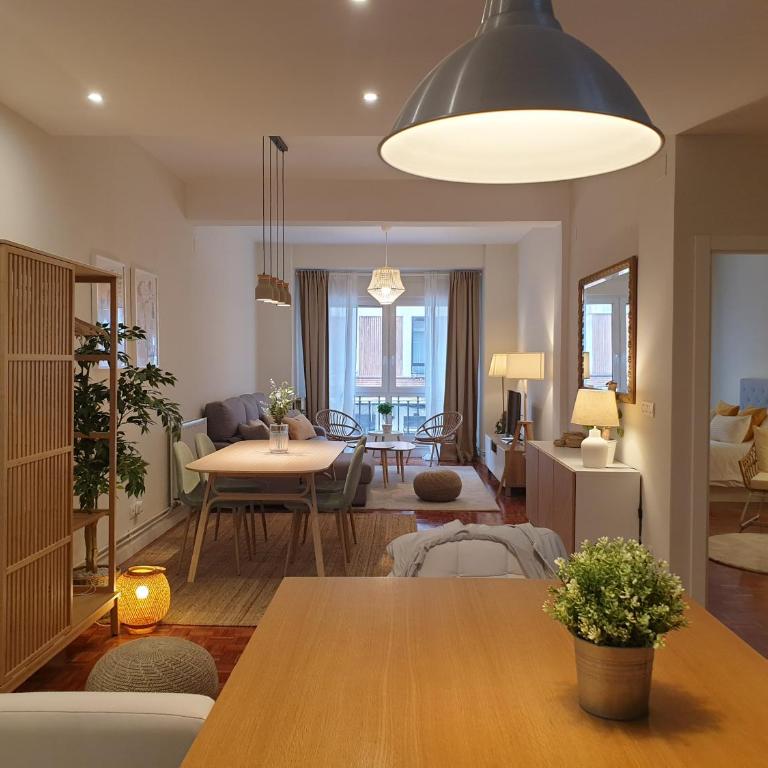 Spacious and lovely in the City Center of Bilbao - Two-Bedroom Apartment - 16