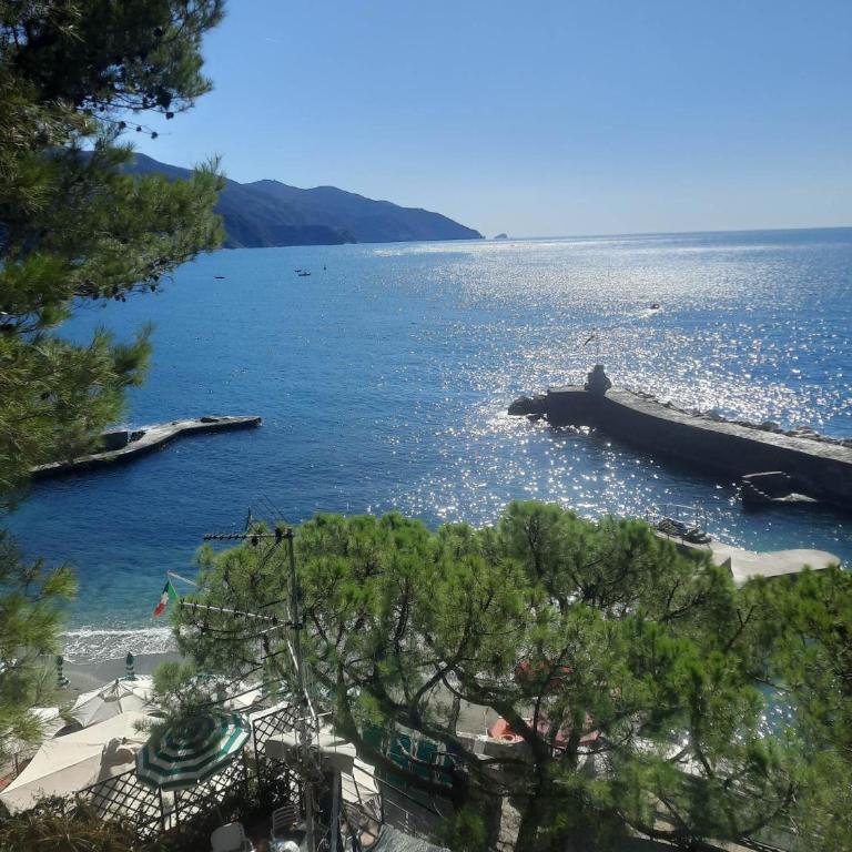 Vacances en paradis - Appartement 1 Chambre - 33