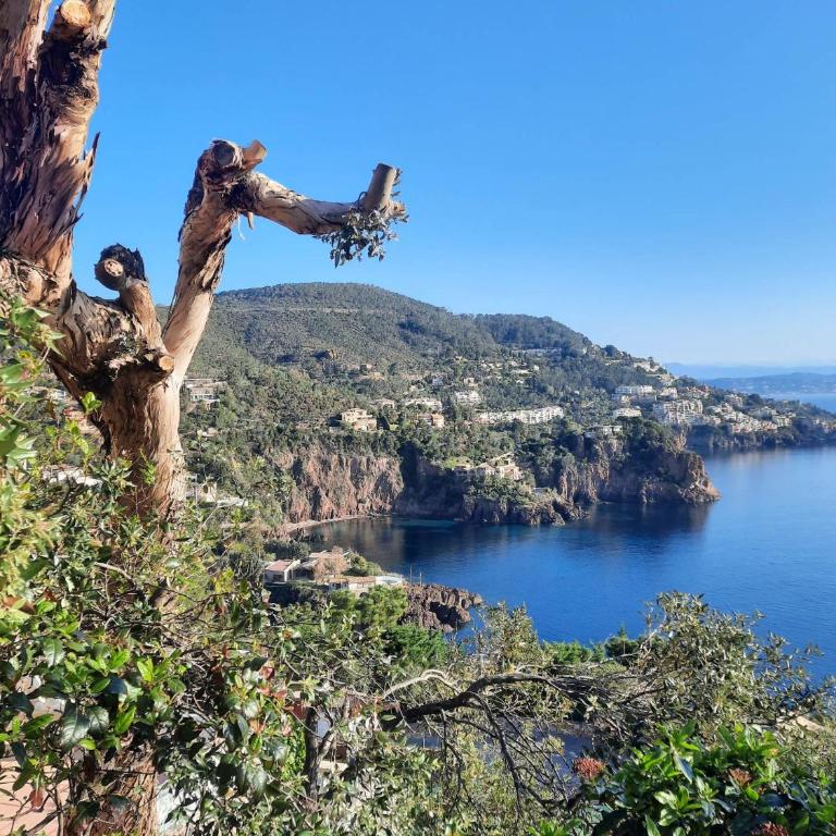 Vacances en paradis - Appartement 1 Chambre - 26