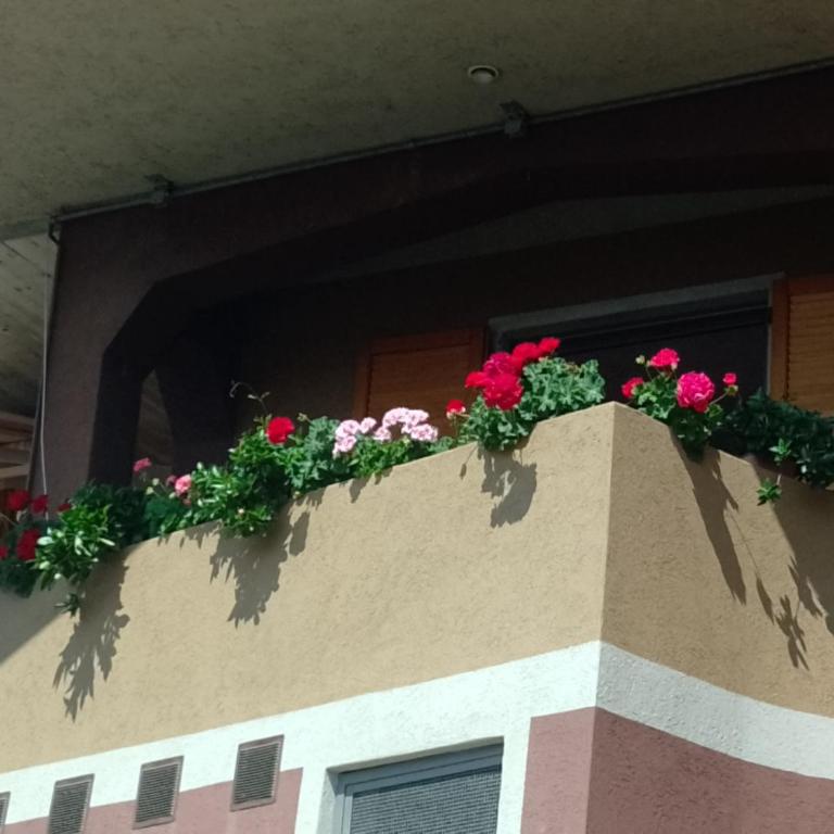 La Pergola - Appartamento con 1 Camera da Letto - 2