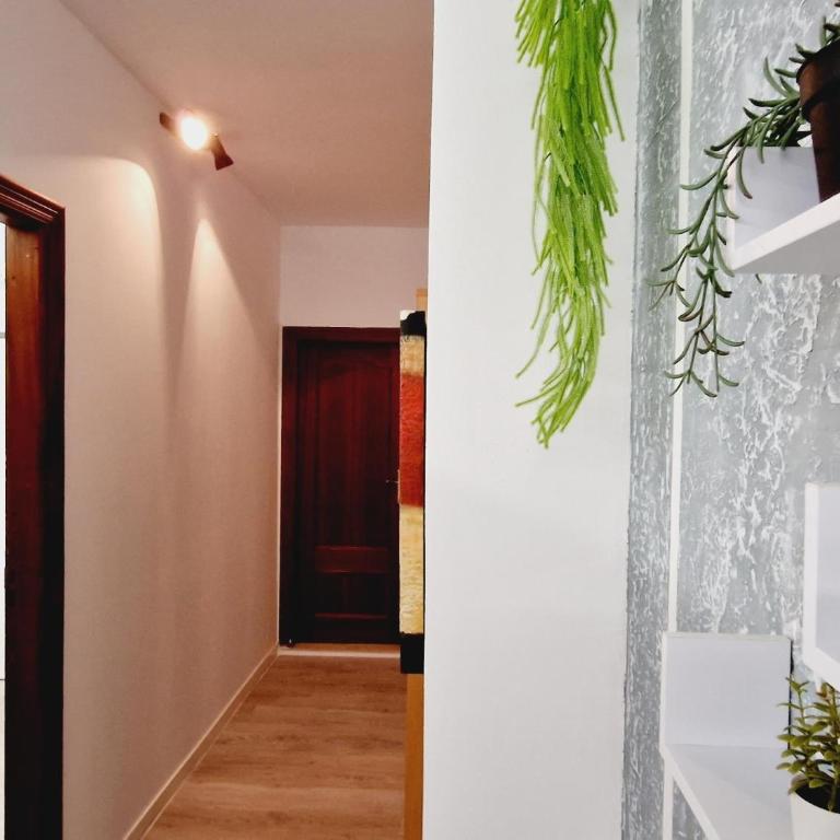 Nicole, 2 bedrooms apartment in Playa de las Américas - Apartamento - 10