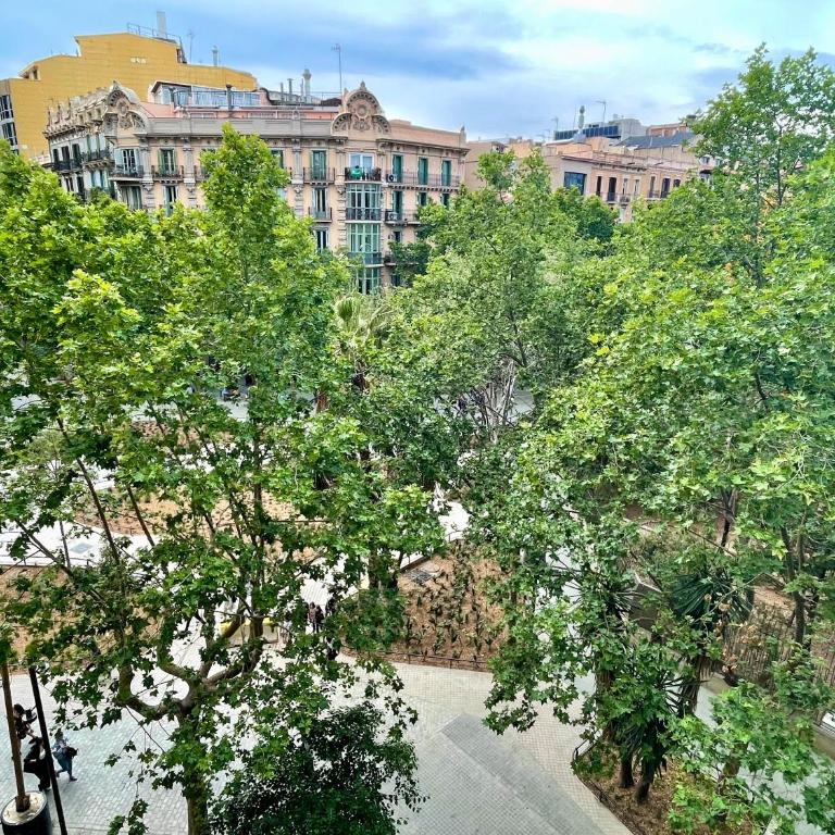 Enric Granados 17 - Apartamento de 3 dormitorios - 50