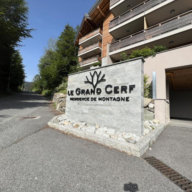 GCF211 appartement 6 pers pied de piste - Appartamento Superior - 12