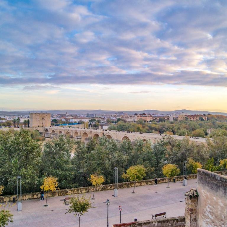 NEWMEZQUITA1 Magníficas vistas a Mezquita Catedral - Apartamento de 2 dormitorios - 6