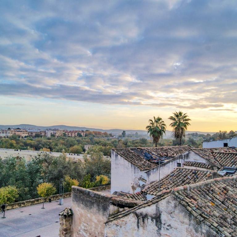NEWMEZQUITA1 Magníficas vistas a Mezquita Catedral - Apartamento de 2 dormitorios - 8