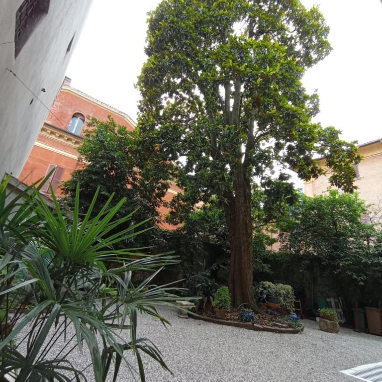 Magnolia Garden - One-Bedroom Apartment - 32