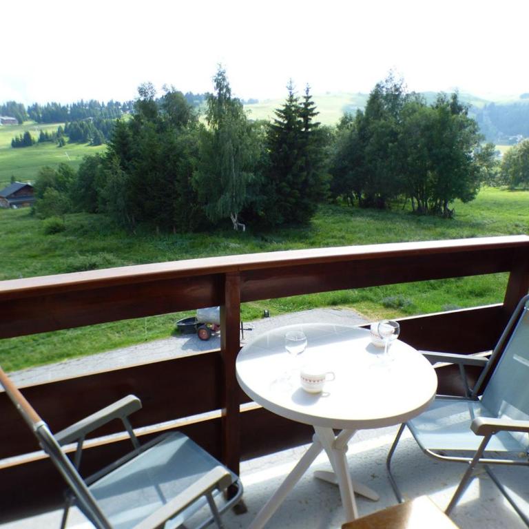 Studio cabine 4 pers aux Saisies, proche commerces - Appartement 1 Chambre - 3