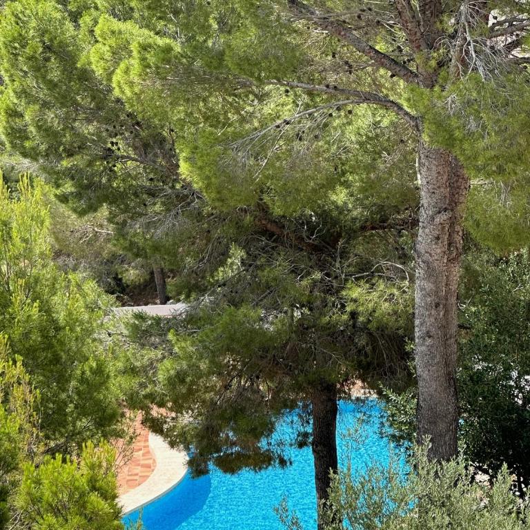 Cosy2stay Moncayo Golf Apartememt - Apartamento de 1 dormitorio - 33