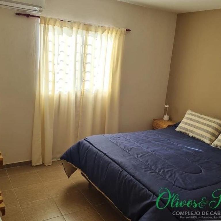 Cabañas Olivos & Rosas1 - Apartamento de 1 dormitorio - 11