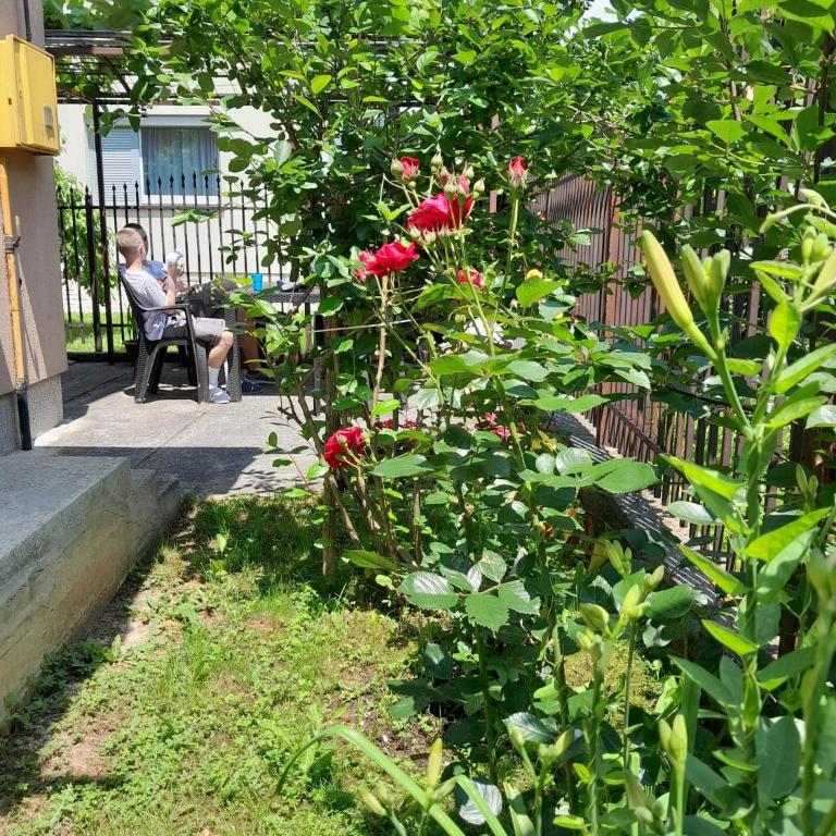 Vila Sultan Sarajevo - Vila sa 2 Spavaće Sobe - 3