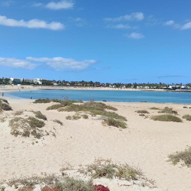 Lomas del Castillo, la casa de la isla - One-Bedroom Apartment - 20