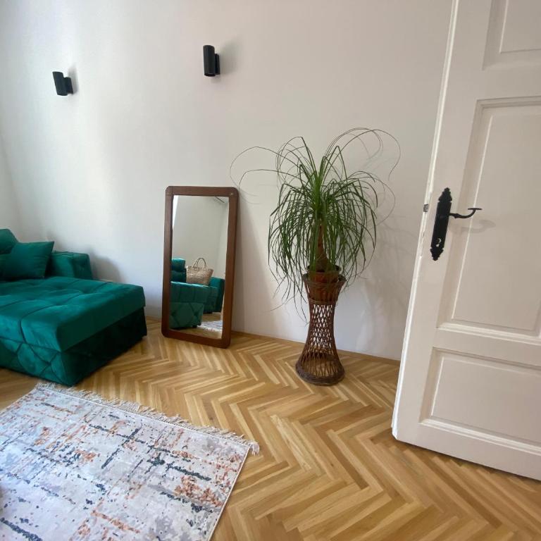 Unfamiliar Mili, Center - Apartman sa 1 Spavaćom Sobom - 11