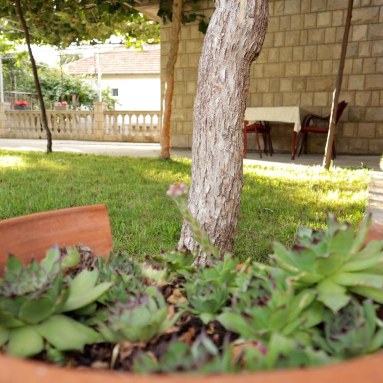 Debeli lad - Apartman sa 2 Spavaće Sobe - 1