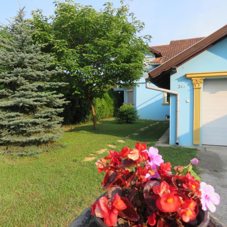 Prenoćište Panorama - One-Bedroom Apartment - 85