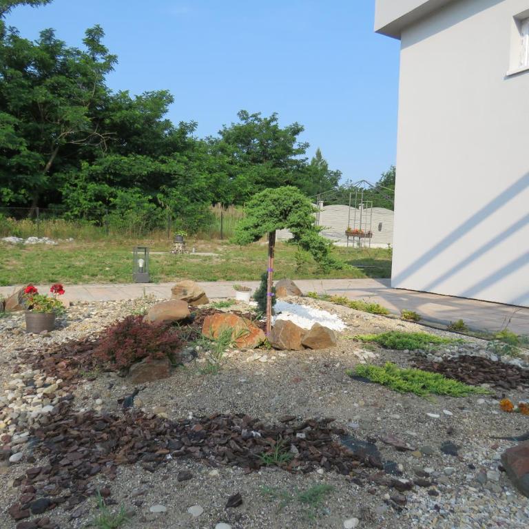 Prenoćište Panorama - One-Bedroom Apartment - 98