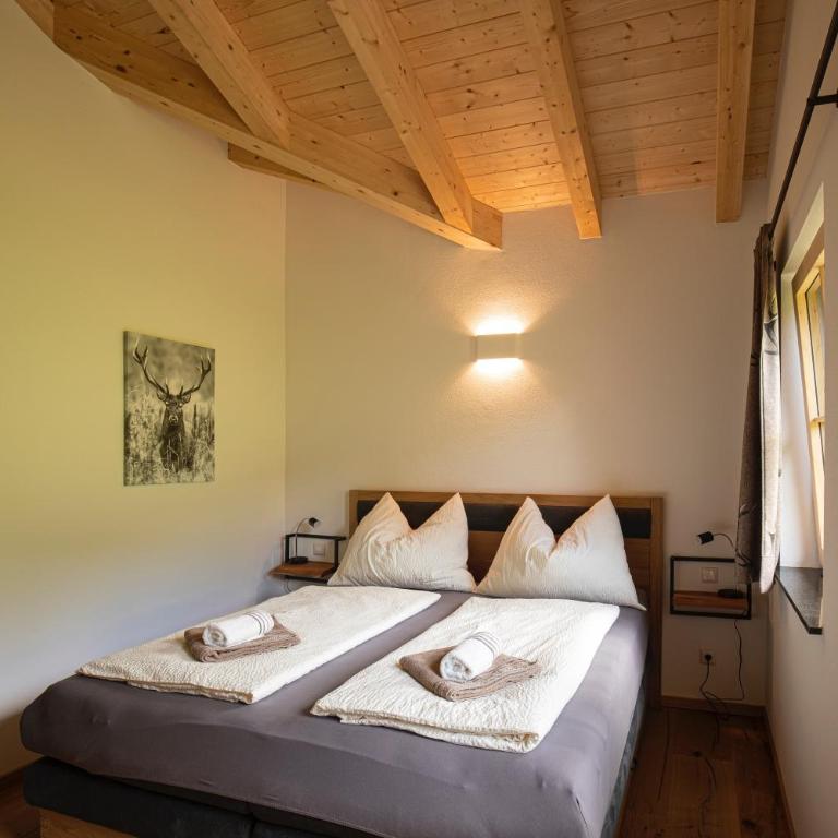 Dachstein Chalet - Apartment mit 2 Schlafzimmern und Bergblick - 11