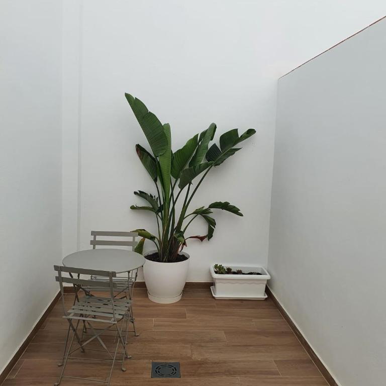 Apartamento nuevo en planta Baja A con piscina y solarium - Apartamento de 1 dormitorio - 10